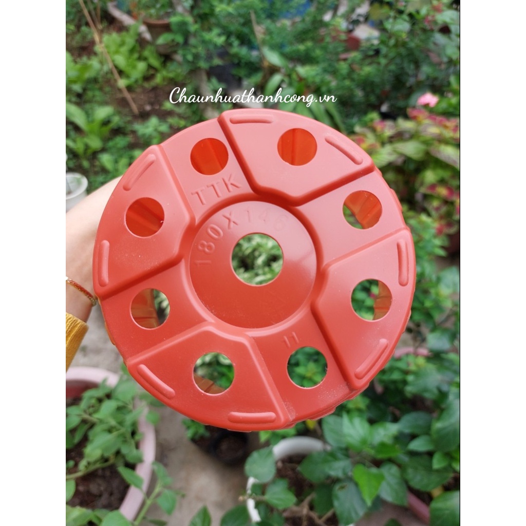 Combo 10 Chậu nhựa 18x14,6cm trồng sen đá, dâu tây, cây giống, thoát nước tốt