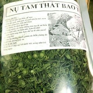 Sỉ lẻ nụ hoa tam thất bao tử đặc biệt
