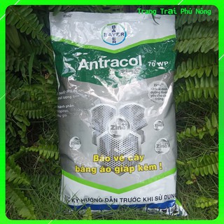 Thuốc trừ bệnh Antracol 70WP - Gói 1kg