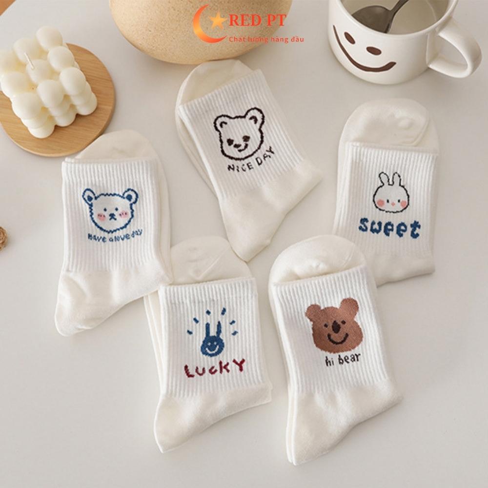 Tất nữ cổ ngắn vớ xinh cute màu trắng cotton hình chữ và gấu thú