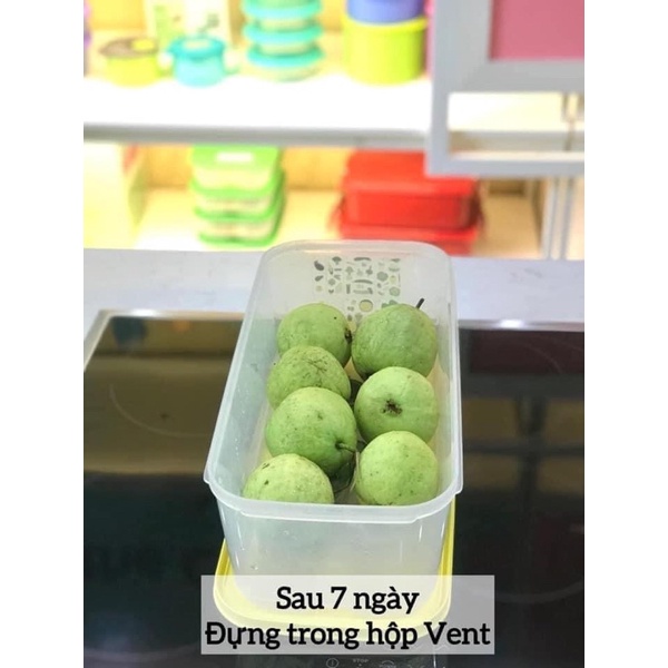 Hộp Ventsmart 6.1l - Hàng chính hãng Tupperware - Trữ rau củ quả tươi, không héo, úa trong 2-3 tuần