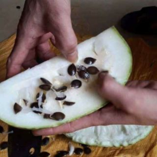 Hạt bí mèo đen Hà Giang