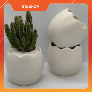 Bộ 3 Chậu Trồng Cây Mini - 7x7x7 Cm - Gốm Sứ Bát Tràng - Mầu Trắng - Dáng Trứng