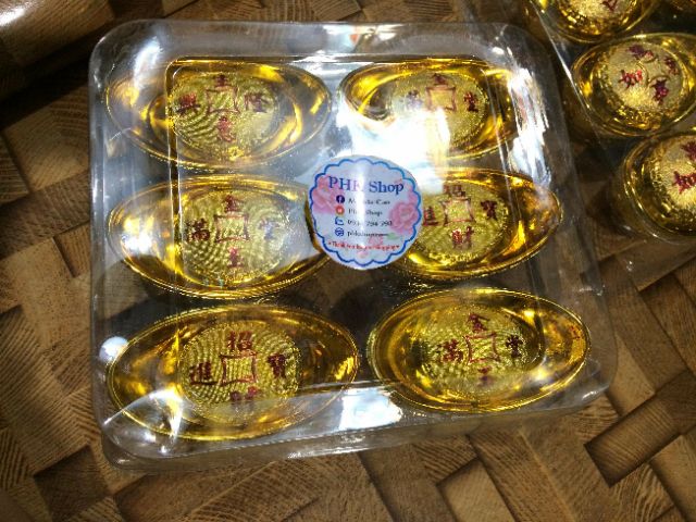 Nguyên liệu đế lốc 06 cái làm đế cây kim tiền 03 size | BigBuy360 - bigbuy360.vn