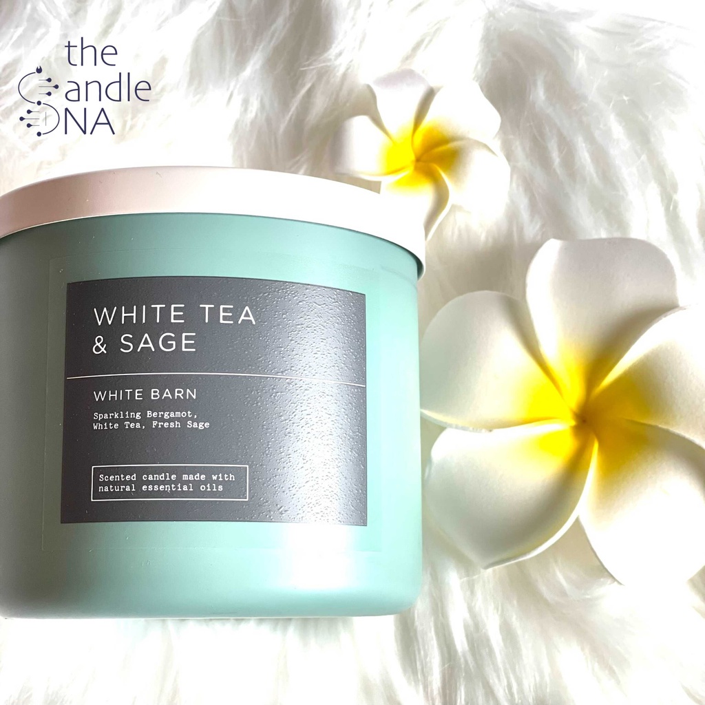 Nến thơm Bath and Body Works  White Tea & Sage 3 bấc