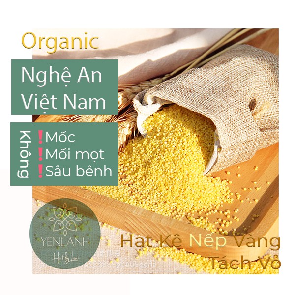 Hạt kê nếp vàng hữu cơ 100gr-200gr-500gr Yenlanhnatural