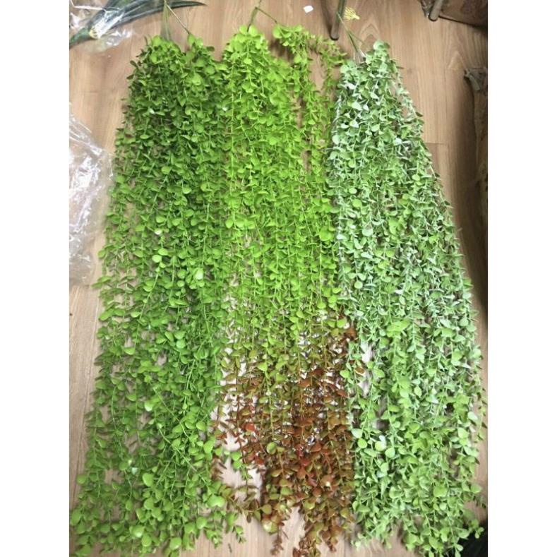 Cụm lá rủ giả - lá vảy ốc giả dài 1m-1.2 met
