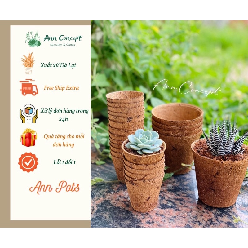 Combo 20 Chậu xơ dừa tròn mini ANN001 - Coir pot