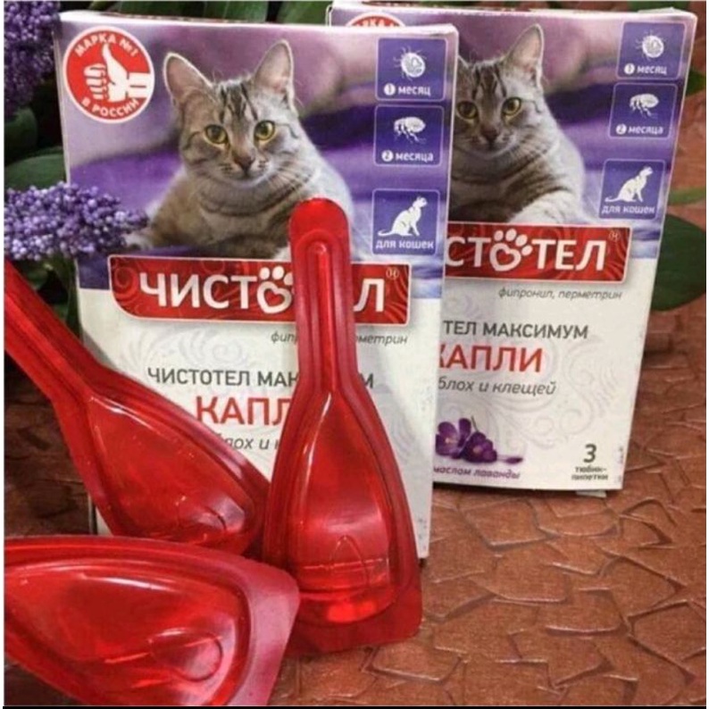 Nhỏ gáy Nga Celandin - diệt ve rận cho mèo siêu hiệu quả