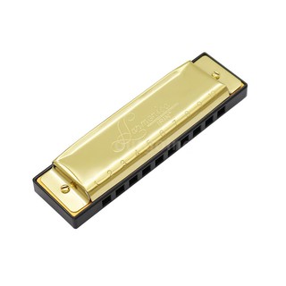 Kèn Harmonica 10 lỗ cho người mới bắt đầu