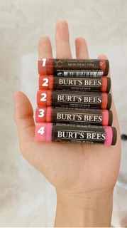 Son dưỡng BURT’s Bees có màu