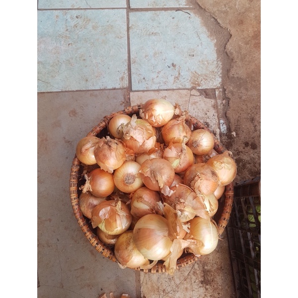 [Tân Phú] Hành Tây _ 0.5kg