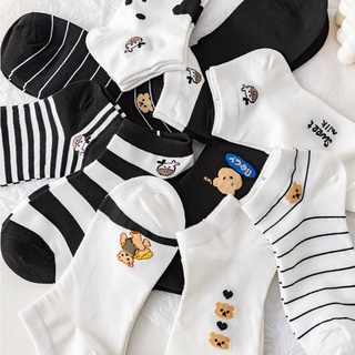 Set 10 đôi tất vớ nữ ngắn cổ bò sữa ss2