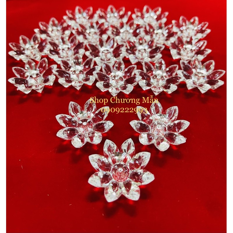 100G Bông 8 Cánh Nhọn Pha Lê Nhựa Đủ Màu Giá Sỉ