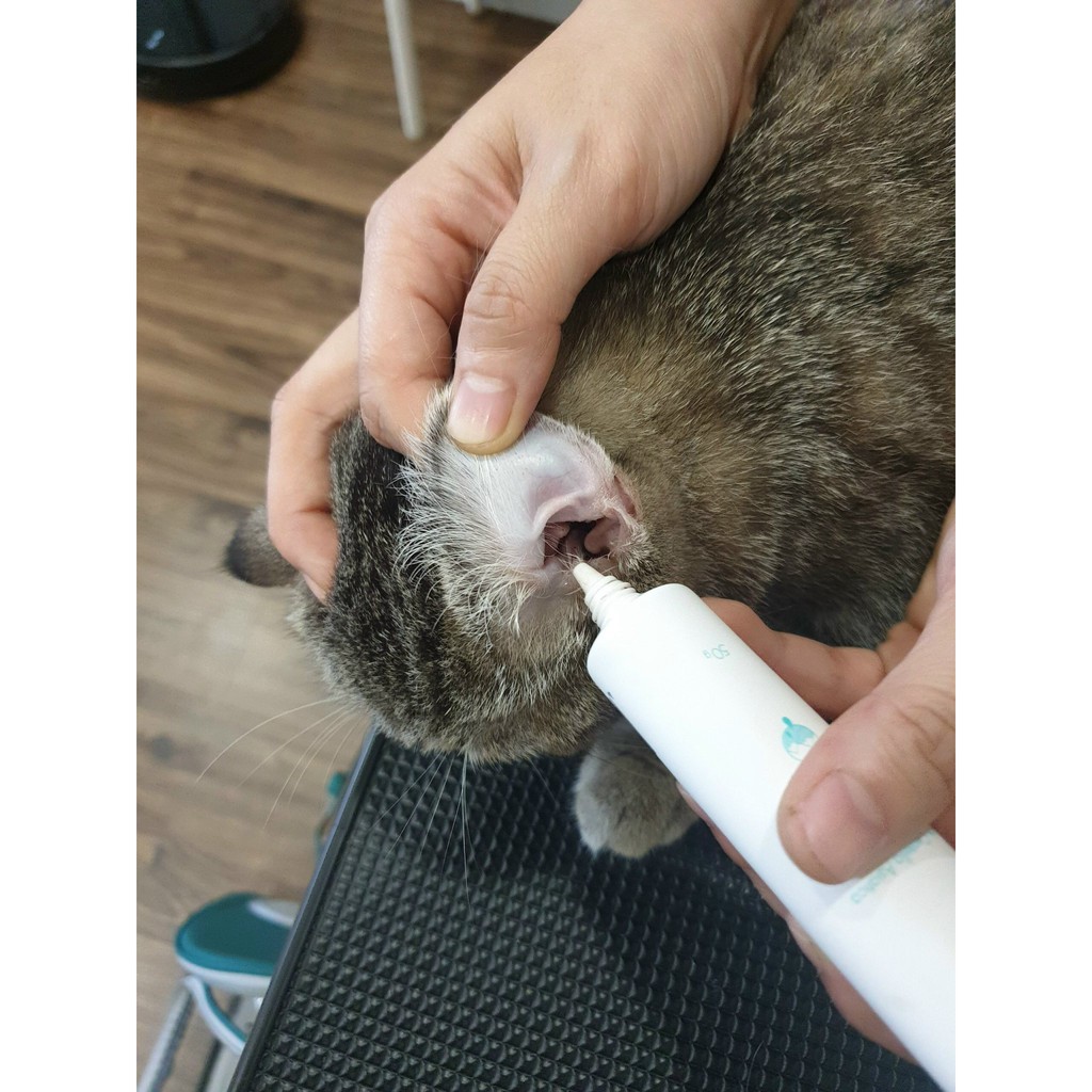 Vệ sinh tai cho chó mèo gel rửa tai Himalayan 5g, dung dịch vệ sinh sạch khử mùi tai cún mèo Con Mèo Xiêm shop