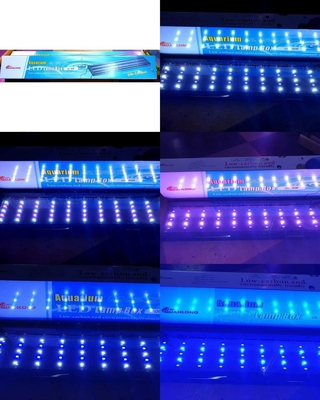 Đèn led 5 hàng Quanlong đổi màu siêu sáng nhiều kích thước