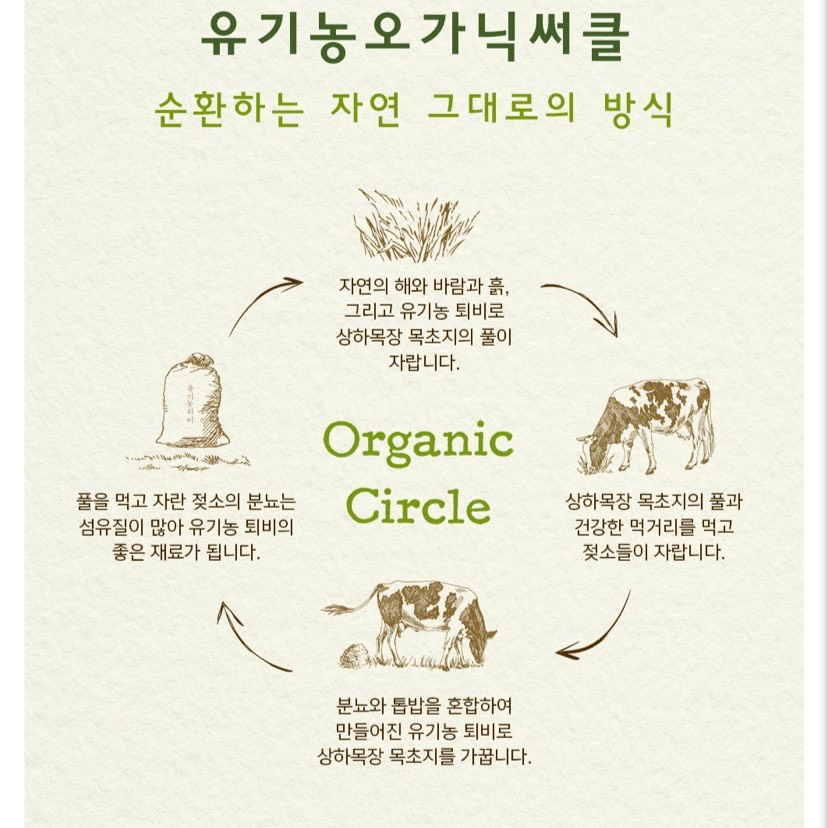 Sữa tươi organic Sanghafarm - Hàn Quốc bay air đủ bill - hộp 125ml