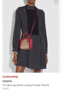 Túi coach mini