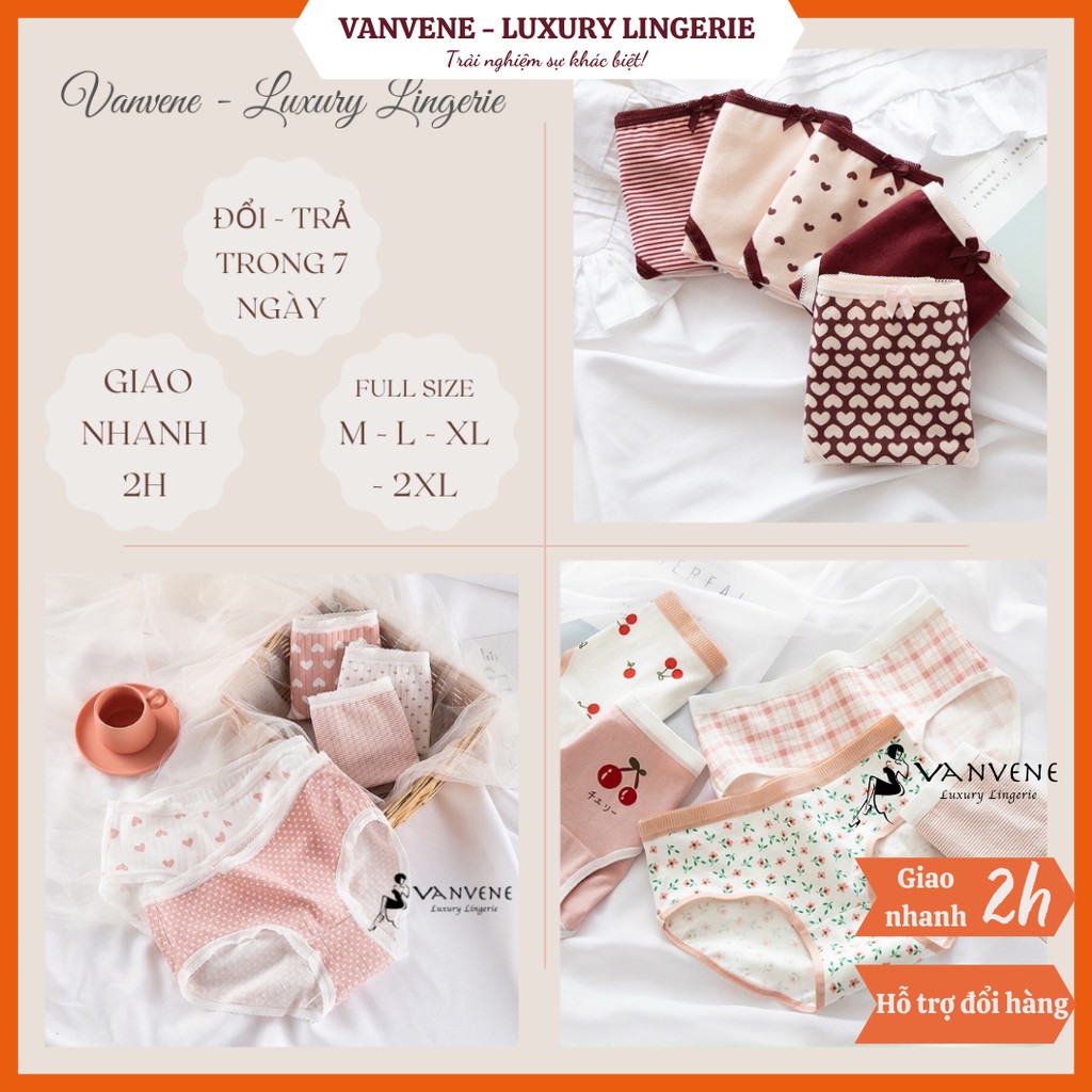 Set 5 Quần Lót Cotton Vanvene Combo 5 Quần Chip Nữ Nhiều Loại Cạp Vừa Cạp Vừa Chống Hằn Lộ Viền Co Giãn Nhiều Q230