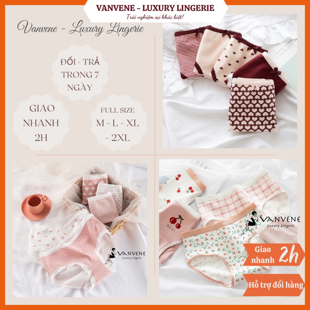 SET 5 QUẦN LÓT COTTON VANVENE COMBO 5 QUẦN CHIP NỮ NHIỀU LOẠI CẠP VỪA CẠP VỪA CHỐNG HẰN LỘ VIỀN CO GIÃN NHIỀU Q230