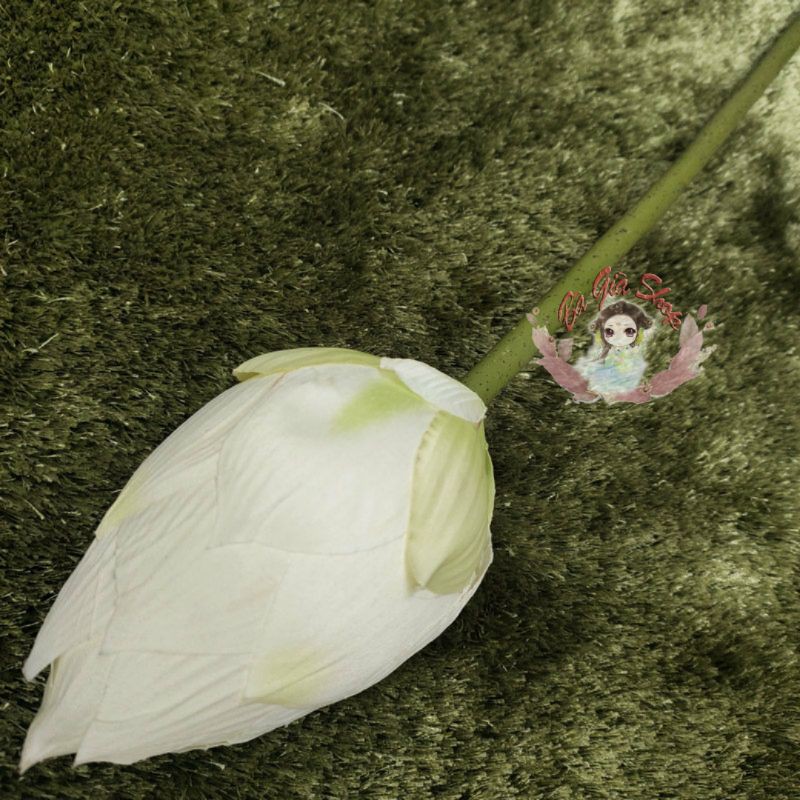 Hoa sen hoa giả đạo cụ chụp ảnh trang trí