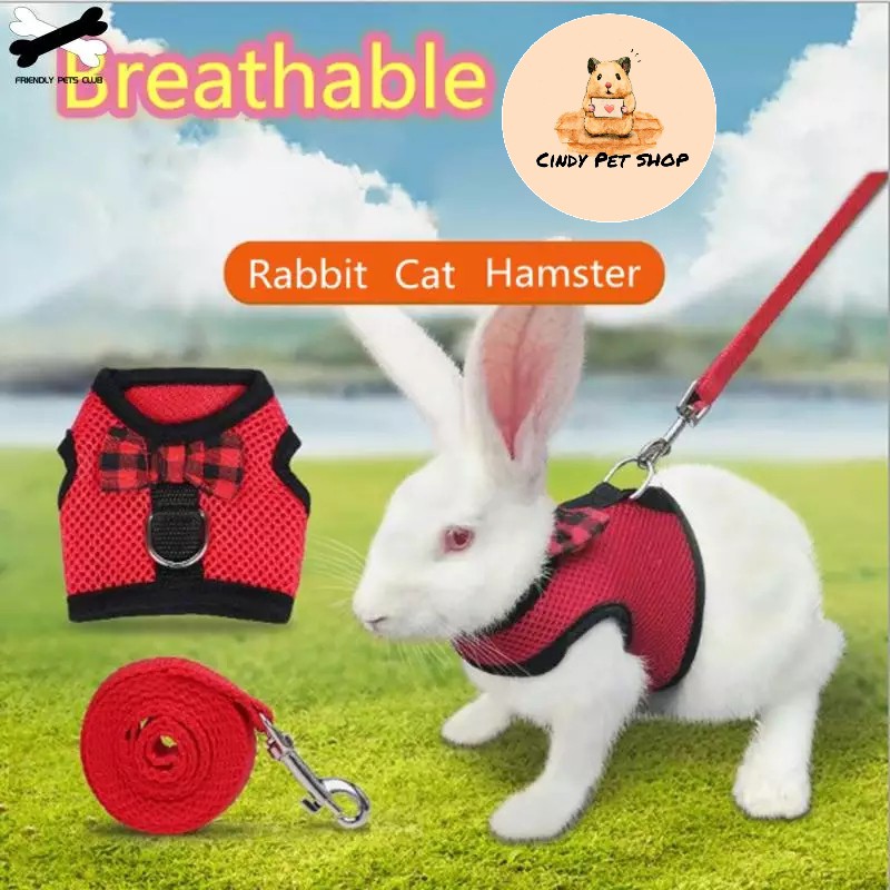 Bộ yếm và dây dắt cho Thỏ, Bọ, Sóc Bắc Mỹ, Nhím, Dumbo Rat...