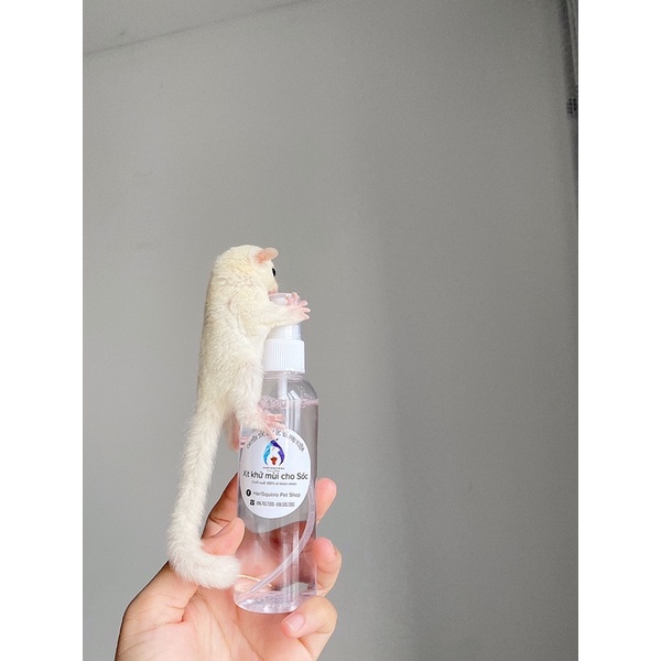 Xịt Diệt Khuẩn, Khử Mùi Cho Sóc Bông, Sóc Đất, Sóc Bay Úc,...