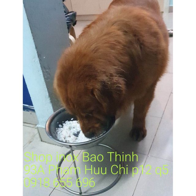 Bát ăn cho chó lớn Cao 25cm - bát 26cm