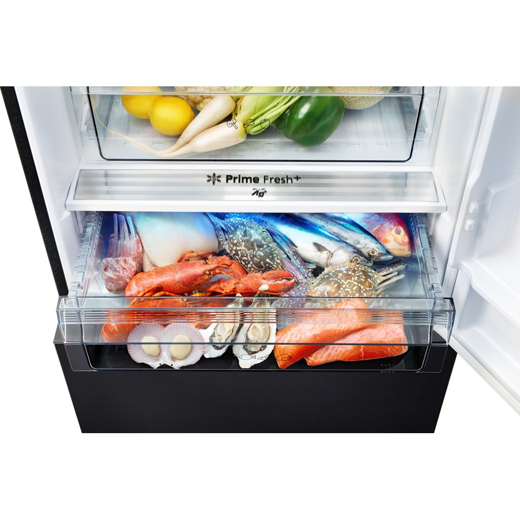 TỦ LẠNH INVERTER PANASONIC 420 LÍT NR-BX471WGKV