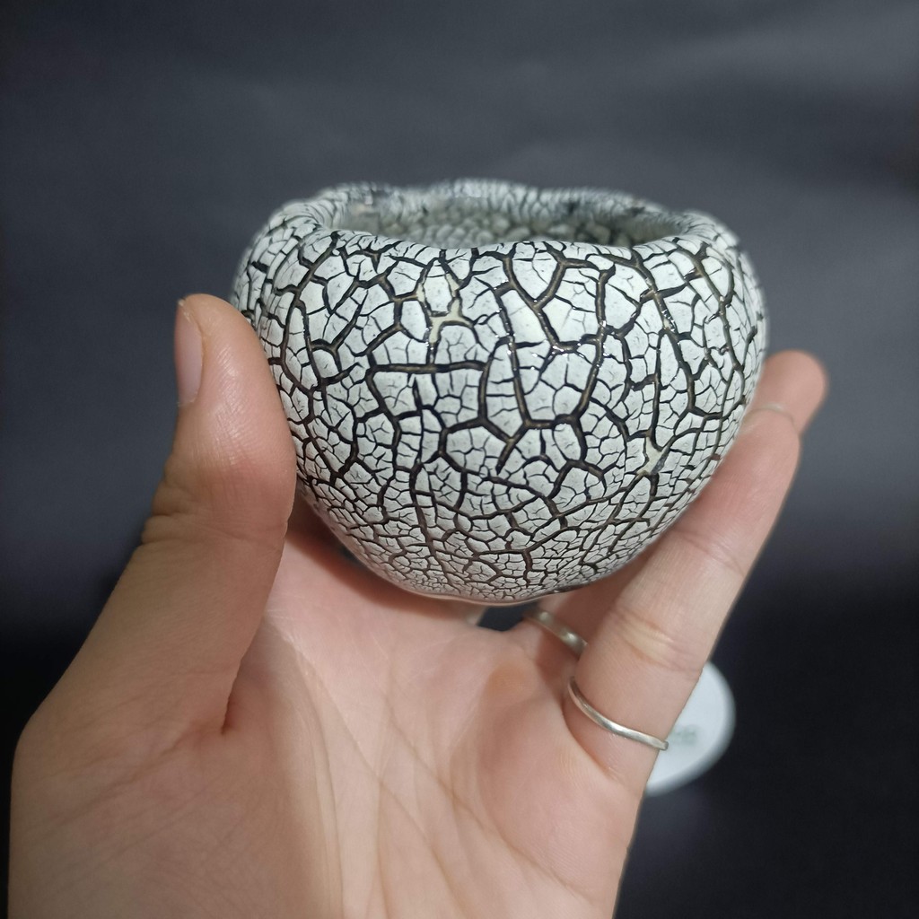Chậu trồng sen đá, xương rồng - chậu bí rạn 7,5x5,5