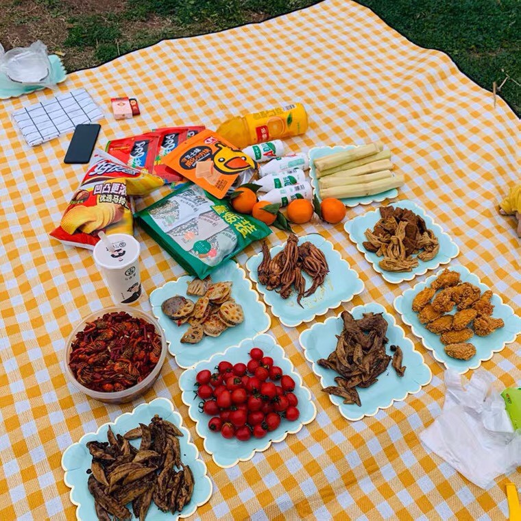 Thảm picnic gấp gọn, Thảm dã ngoại, Thảm du lịch cao cấp - Chống thấm nước, họa tiết caro, gấp gọn tiện lợi