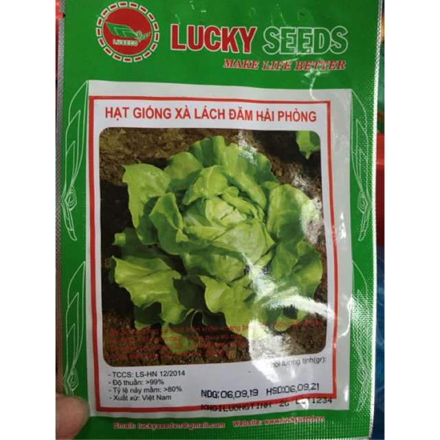 Hạt giống xà lách cuộn