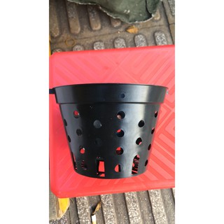 COM BO 30 Chậu nhựa lỗ tròn PHI 14 CM