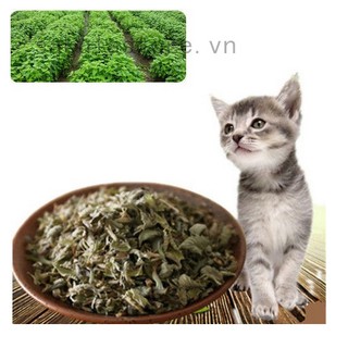 Cỏ catnip bạc hà sấy khô tự nhiên cho mèo