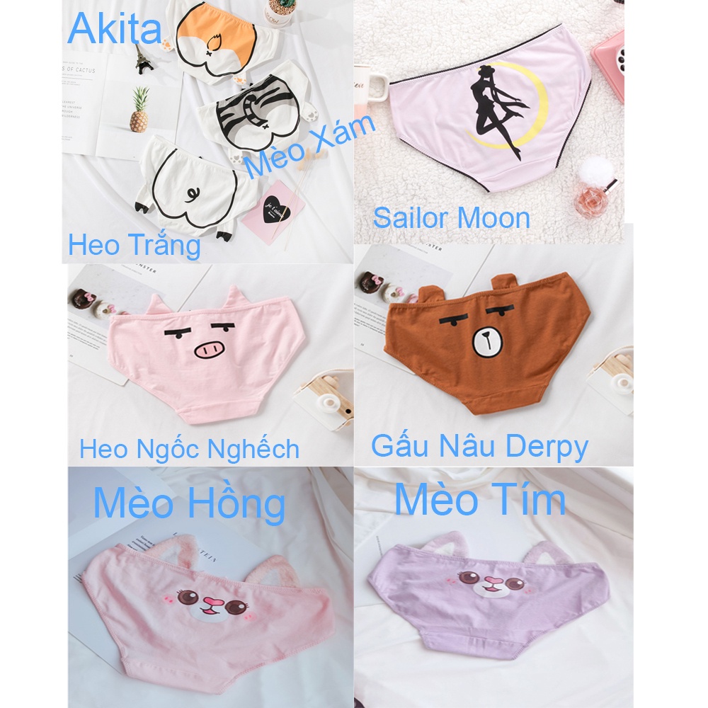 Quần lót nữ Hoạt Hình Chipu gấu brown - vịt sally - thỏ cony - heo hồng