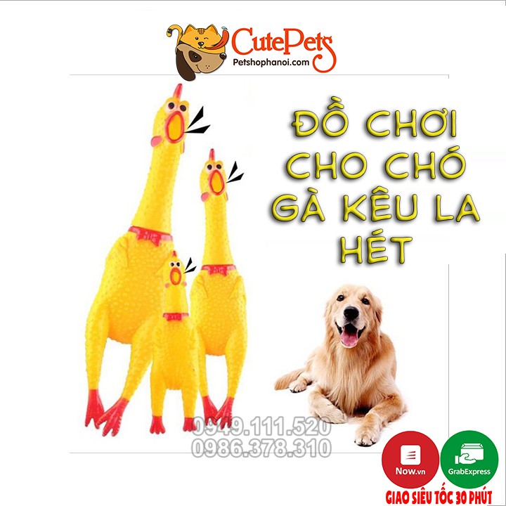 Đồ chơi cho chó gà la hét - CutePets Phụ kiện chó mèo Pet Shop