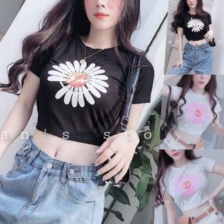 Áo croptop  in hoa
