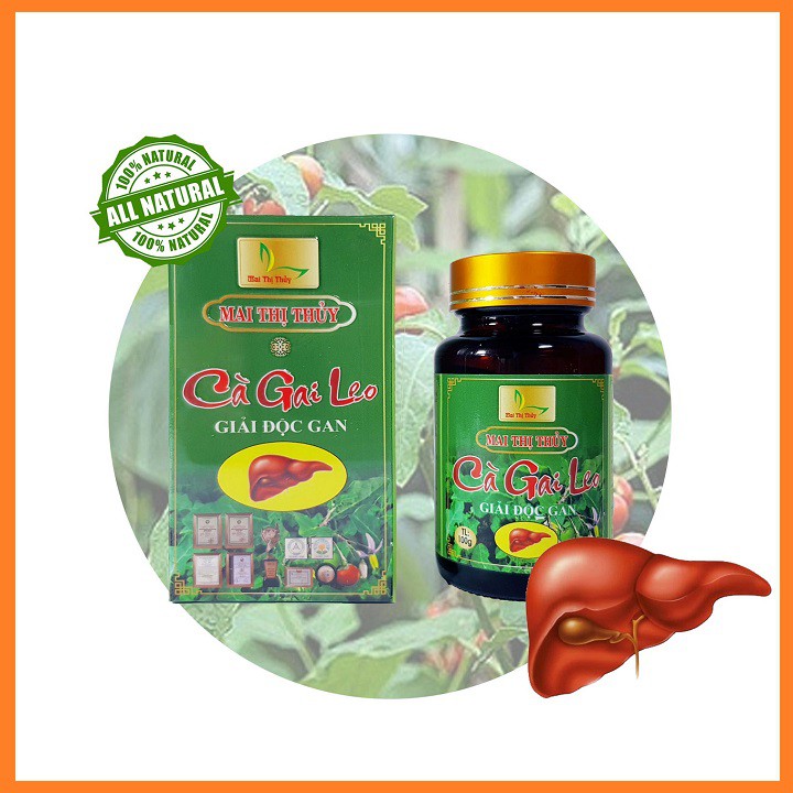 Cao Cà Gai Leo Nguyên Chất Lọ 100g_Bảo vệ lá gan của bạn hàng ngày hiệu quả | BigBuy360 - bigbuy360.vn