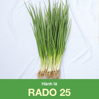 Hạt Giống Hành Lá RADO 25 (2.5gr)