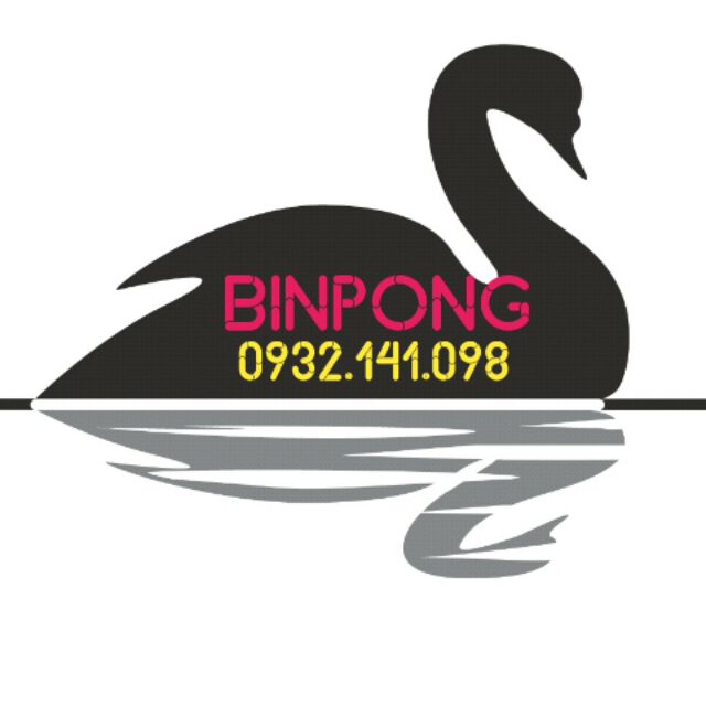 Binpong