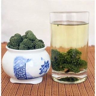 Nụ Hoa Tam Thất