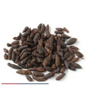 CỦ GẤU( HƯƠNG PHỤ) loại 1(mới, sạch, đẹp) [1kg]