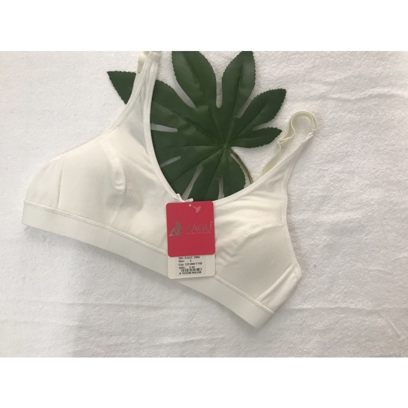 Áo lá học sinh Zagu 1806