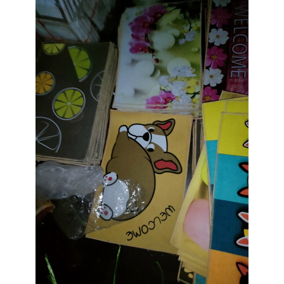 Thảm lau chân chống nước kích thước 40x60 cm giá rẻ