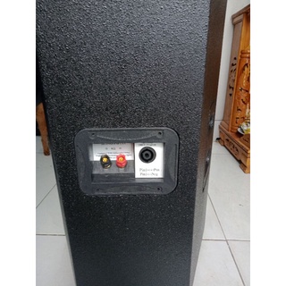 cặp vỏ thùng loa 30 sơn