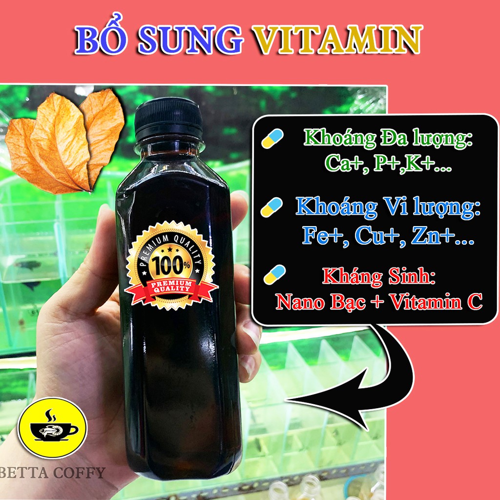 Nước Cốt Lá Bàng bổ sung VITAMIN - Giúp Cá Sung + Khỏe Mạnh