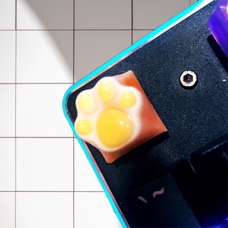 [ ORDER ] RESIN KEYCAP HÌNH CHÂN MÈO
