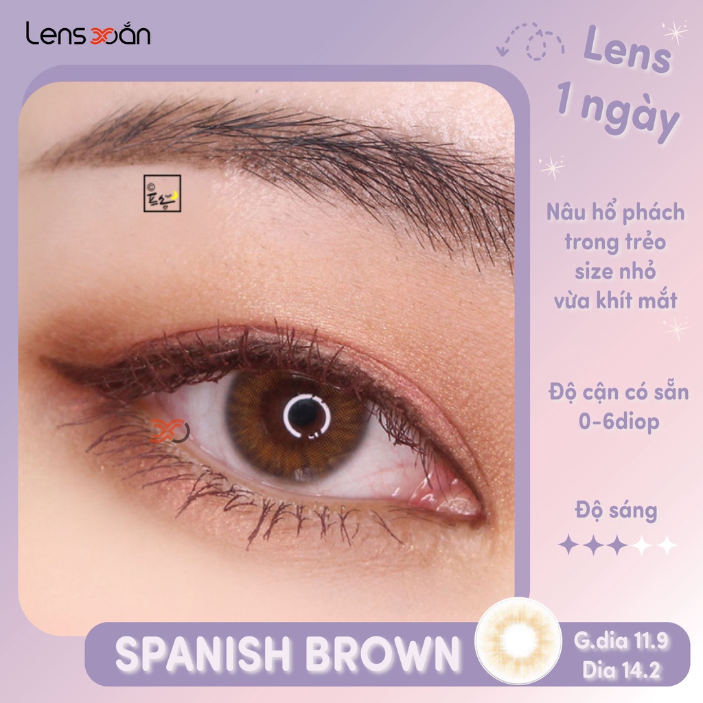 KÍNH ÁP TRÒNG 1 NGÀY SPANISH BROWN CỦA OLENS: LENS NÂU HỔ PHÁCH TRONG MINI SIZE | LENS XOẮN