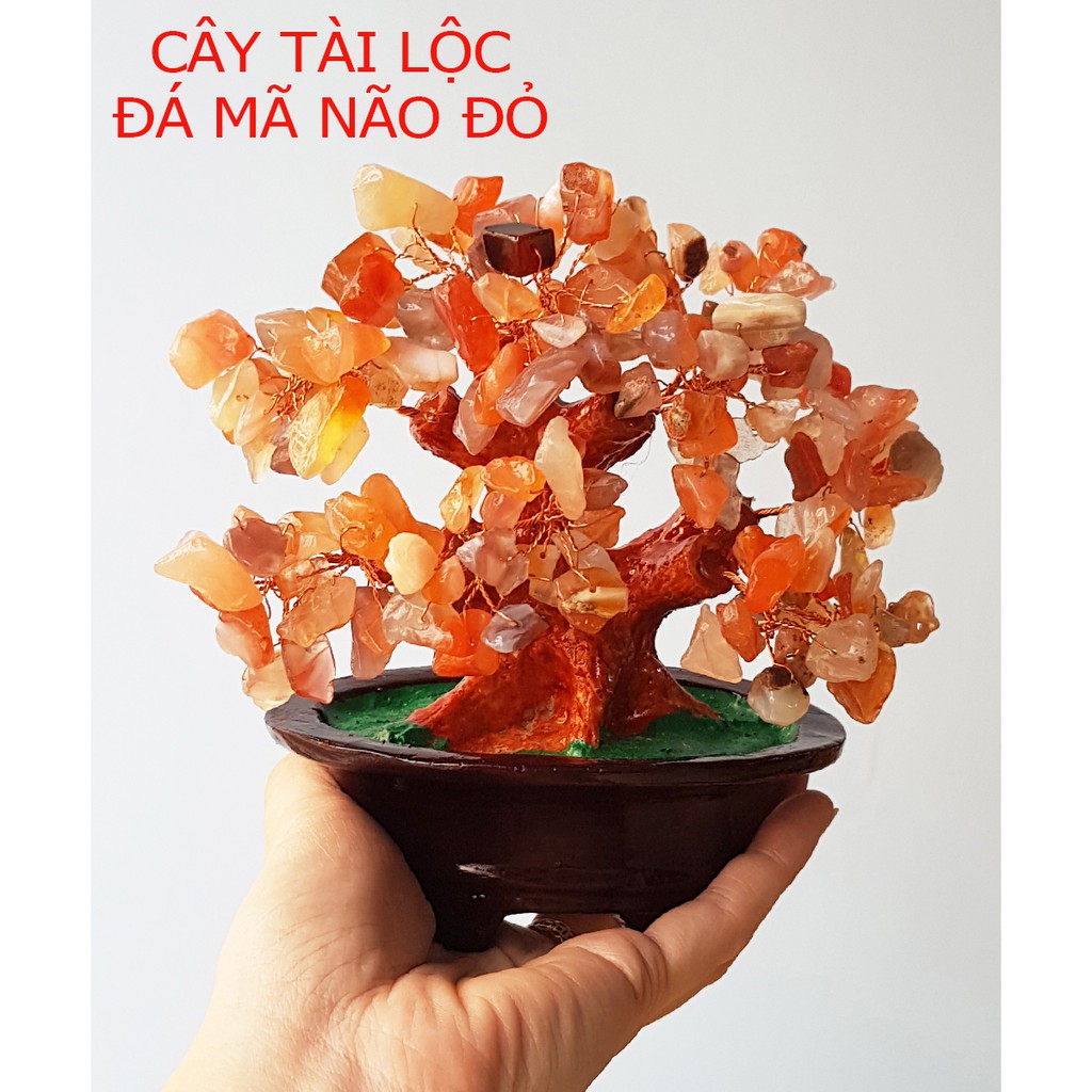 Cây Tài Lộc bằng đá mã não đỏ size 16cm