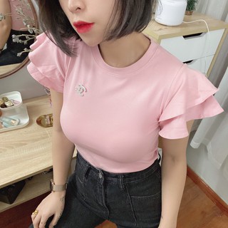 505. ÁO ZIP X NGỰC TAY BÈO